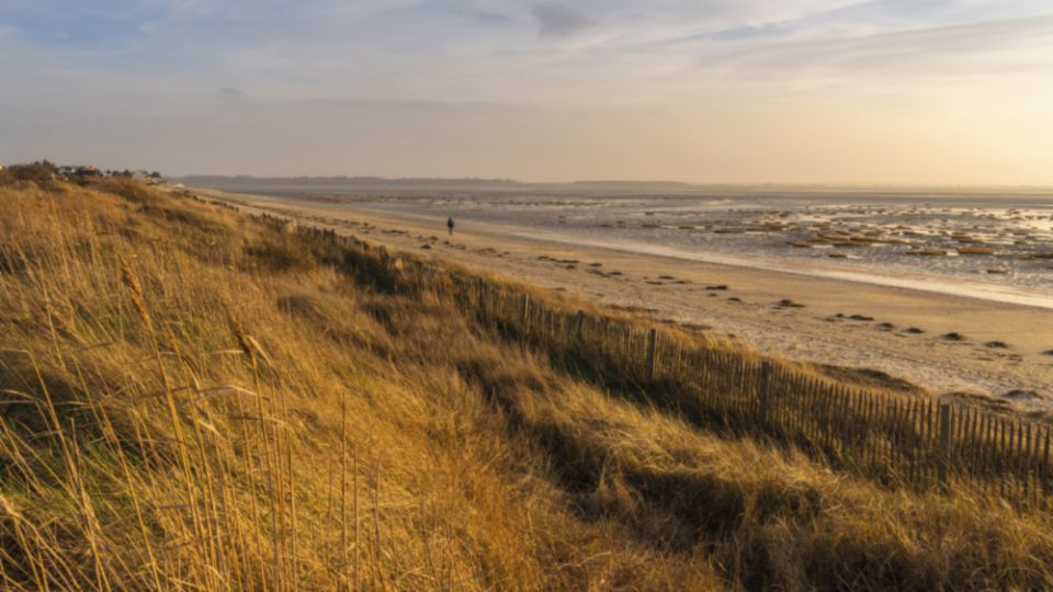 Séminaire en Baie de Somme 