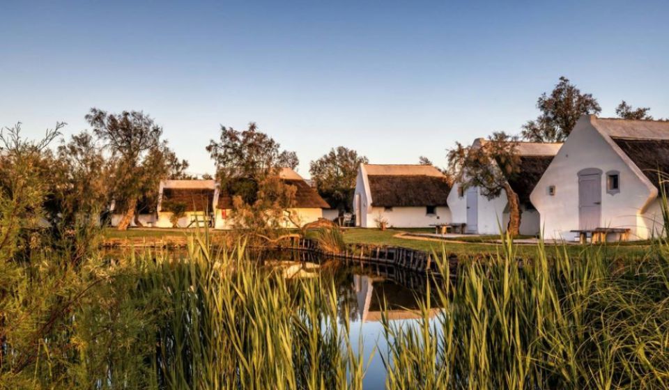 Séminaire en Camargue