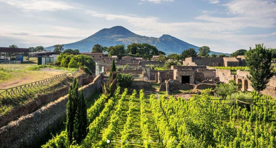 Dégustation de vin sur le Vésuve