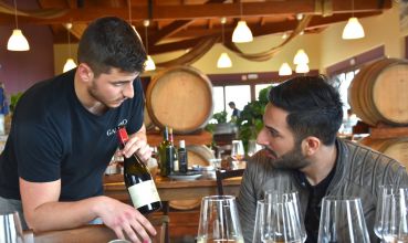 Dégustation de vin en Sicile